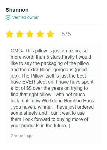 Bamboo Haus Pillow Review